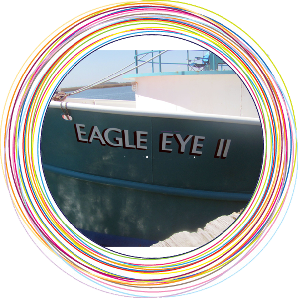 Eagle Eye 2